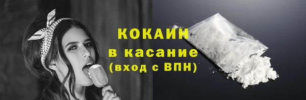 сатива Горняк