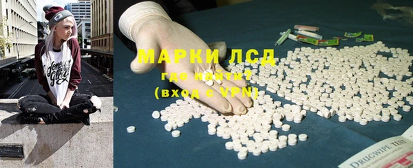сатива Горняк