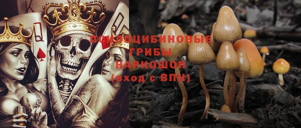 бутират Горнозаводск