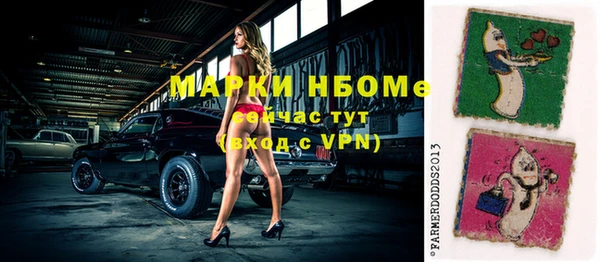 сатива Горняк
