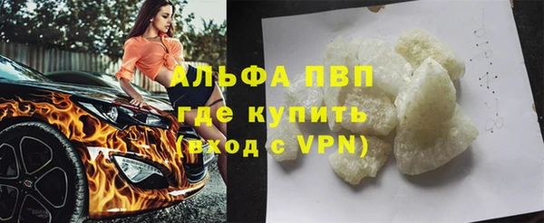 сатива Горняк