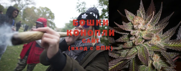 сатива Горняк